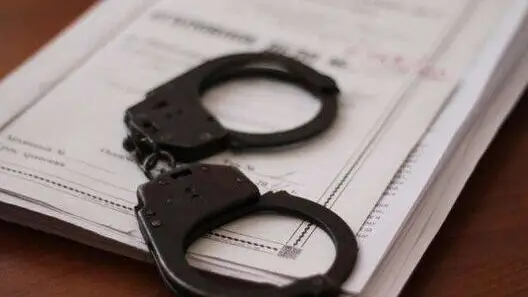 Естонія фіксує рекорд шпигунів РФ: спецслужби викрили 16 агентів за рік