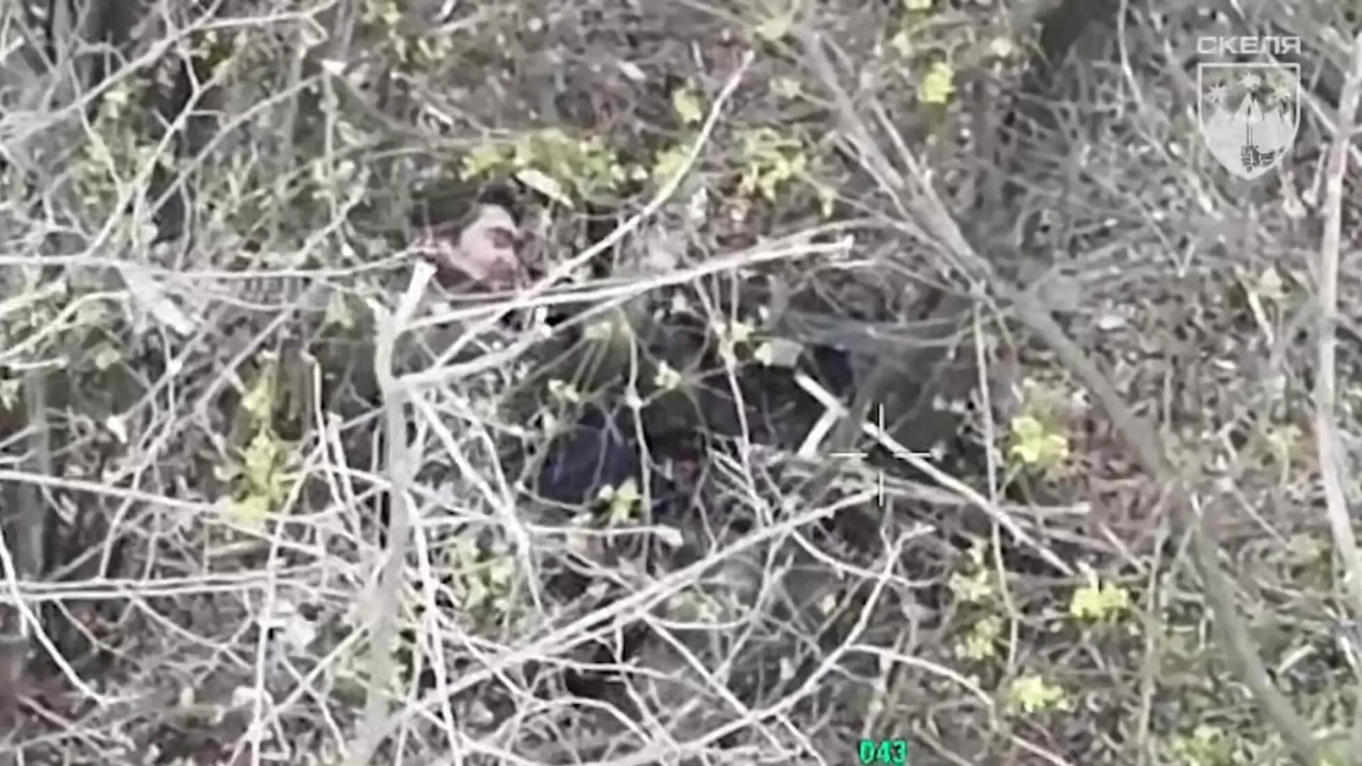 Після ураження дроном окупант наклав на себе руки: відео від полку «Скеля»