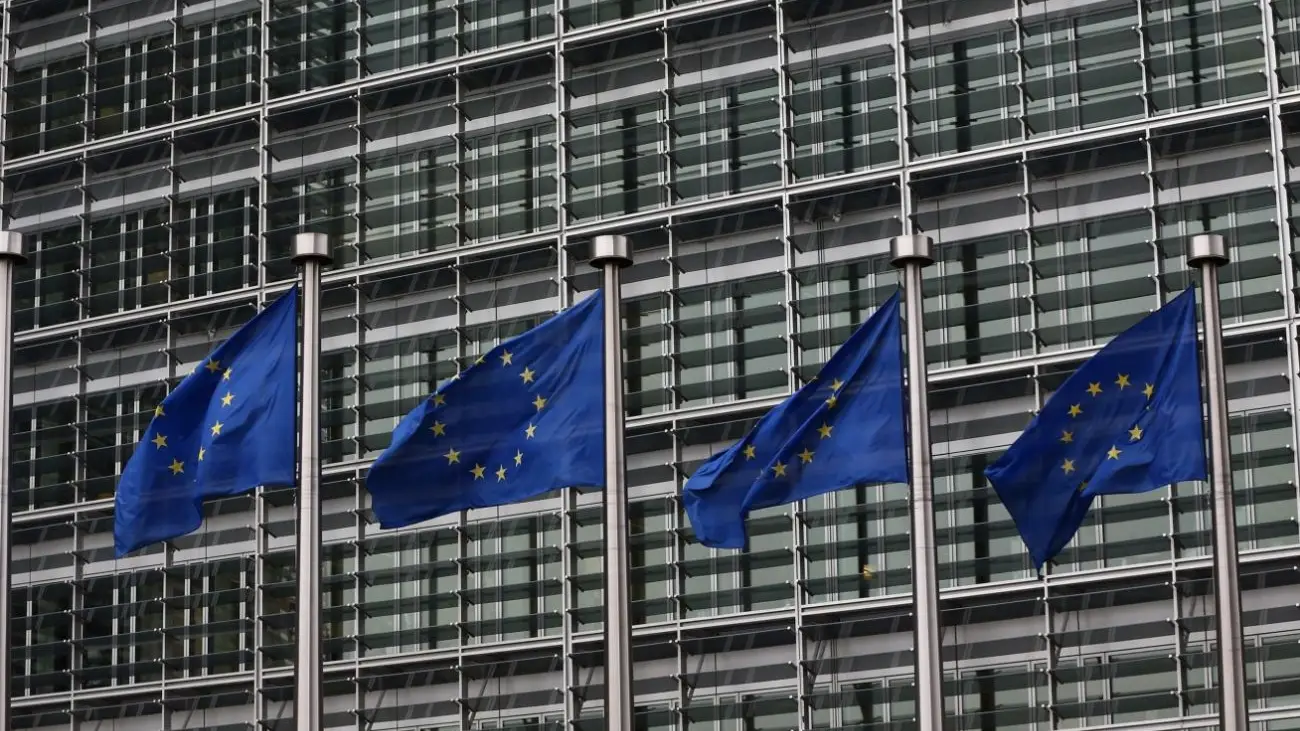 Деякі країни пропонують Україні почекати зі вступом до ЄС 10–20 років — Качка