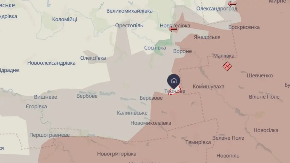 «Скеля» зірвала прорив РФ у Терновому: окупантів знищують дронами на підходах (ВІДЕО)