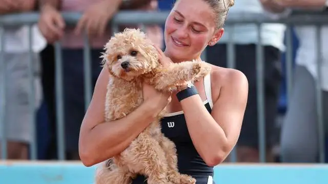 Марта Костюк вийшла у фінал WTA 1000 у Мадриді та може принизити росіянку