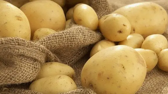 Які ознаки свідчать про небезпечну молоду картоплю: поради спеціалістів