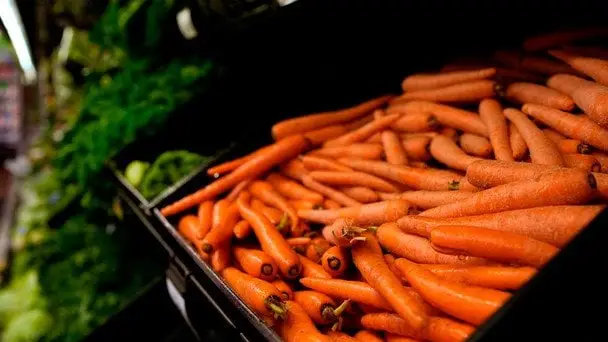 Морква на українських ринках: суттєве подорожчання та прогнози
