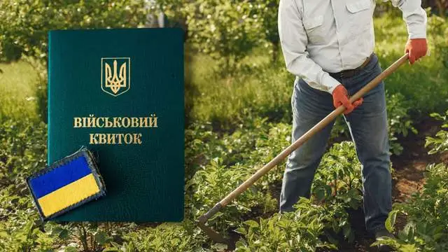 Не всіх фермерів забронюють: що потрібно аграріям для відстрочки