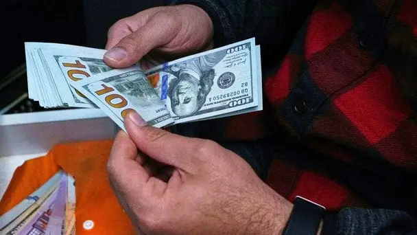 Прогнози щодо валютного курсу долара та євро на червень: експерт ділився очікуваннями