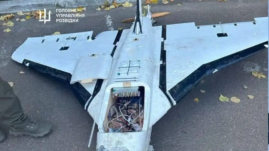 Що таке «Гербера»: дешевий російський дрон, який виснажує українську ППО