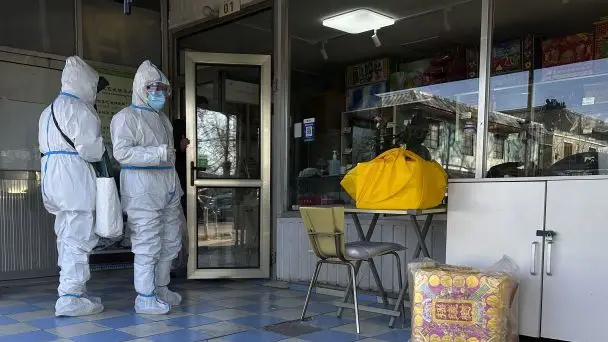 Спалах хантавірусу на лайнері біля Кабо-Верде: загинули троє, вчені попереджають про ширшу загрозу