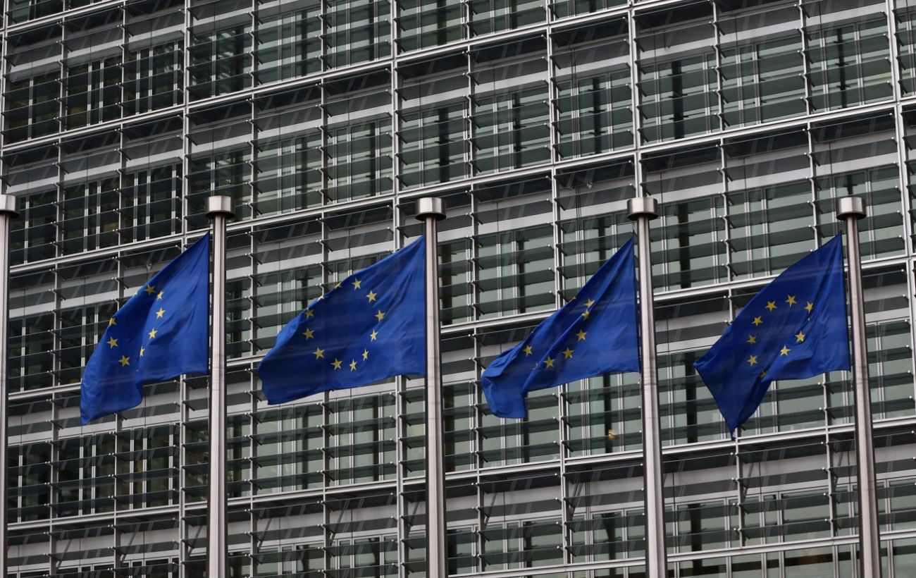 Деякі країни пропонують Україні почекати зі вступом до ЄС 10–20 років — Качка