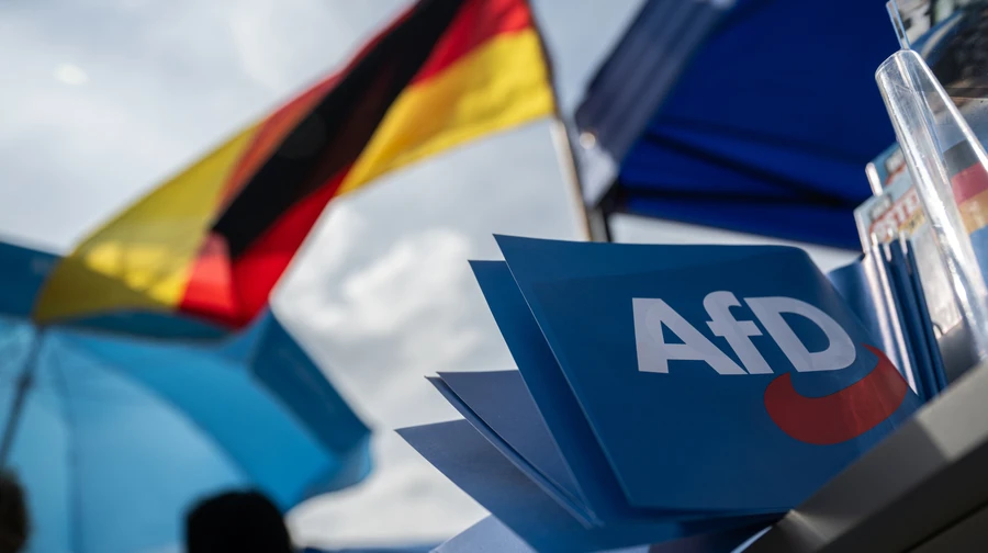 АдГ разгромила партию Мерца на выборах: рекордные 43,8% и шанс взять власть. Инфографика