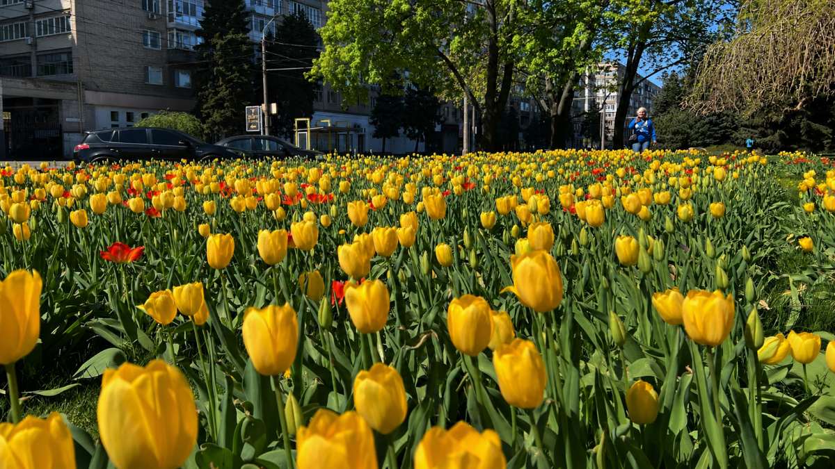 Головні новини Дніпра та Дніпропетровської області 26 квітня