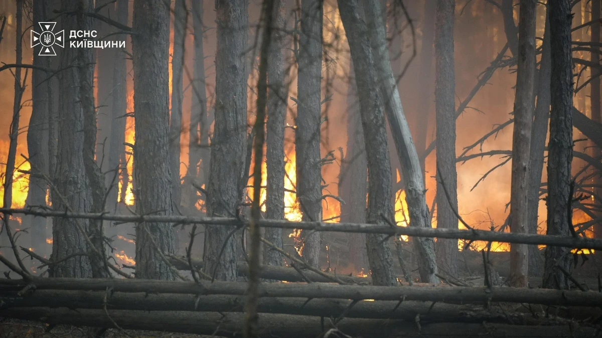На Київщині масштабна лісова пожежа: фронт вогню розтягнувся на кілометри. ФОТО
