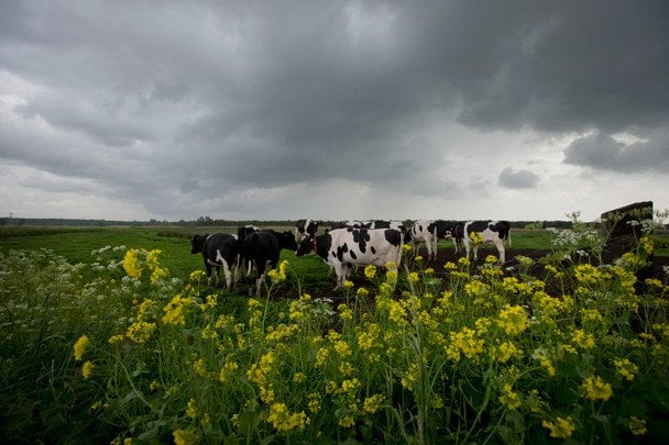 Небезпека стихії: Україна готується до похолодання та негоди