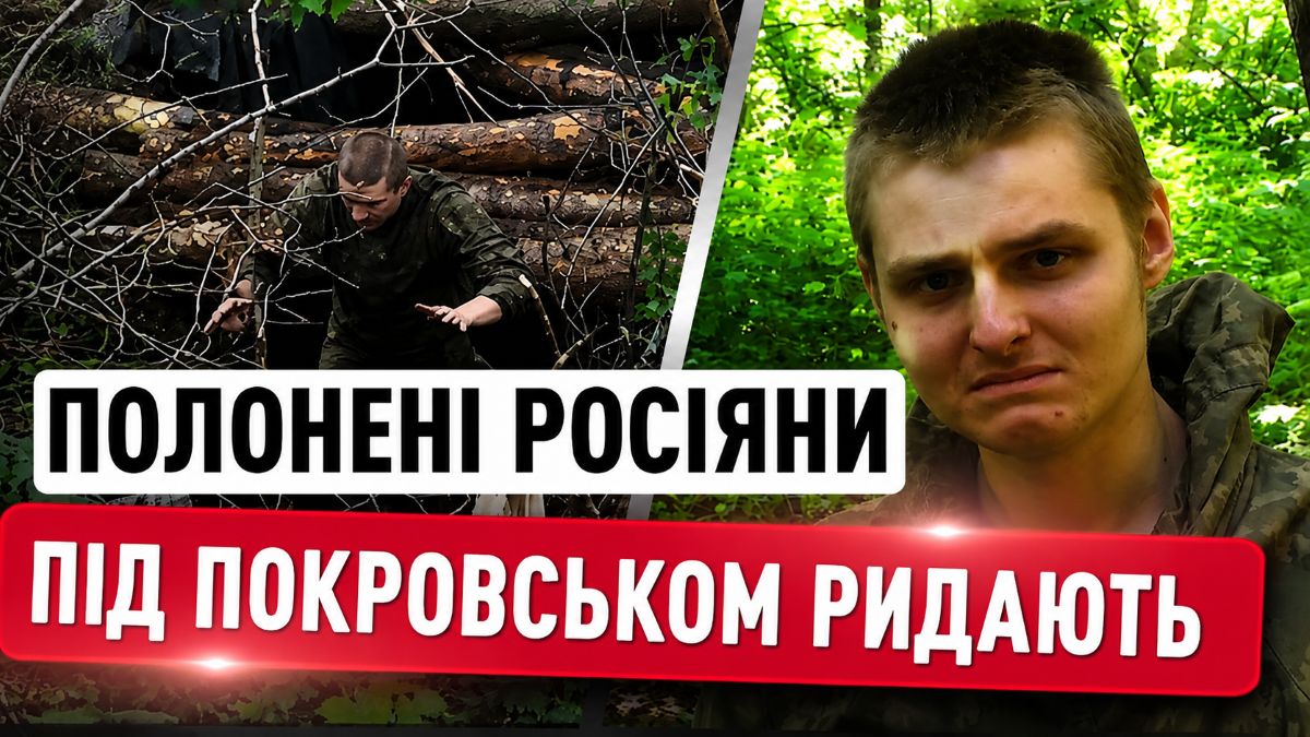 Полк «Скеля» на Покровському напрямку: засідки, полонені й нова тактика ворога
