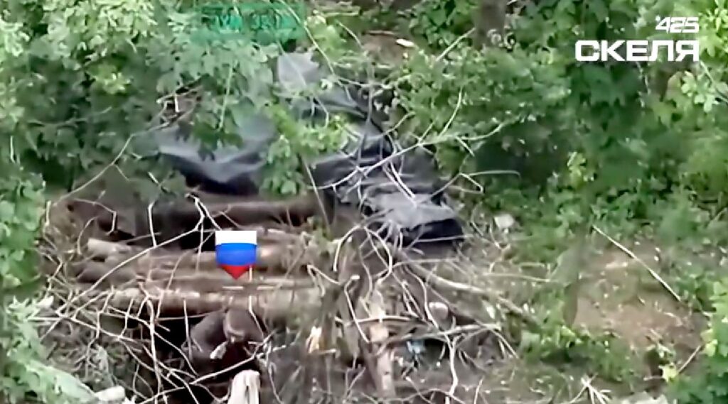«Скеля» взяла штурмовика в полон на Покровському напрямку