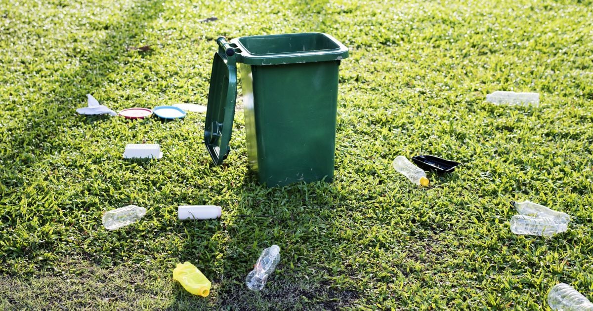 Запах із смітника зникне навіть у спеку: допоможе звичайна сода
